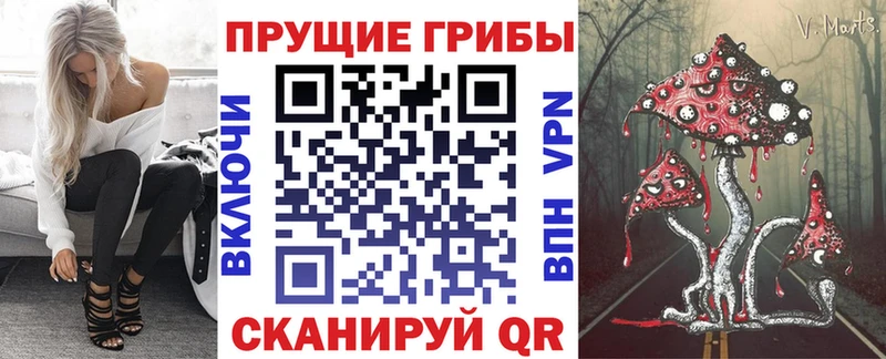 Галлюциногенные грибы Psilocybine cubensis  KRAKEN как войти  Томилино 